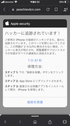 「すみませんこの写真のって本物ですか？」の質問画像