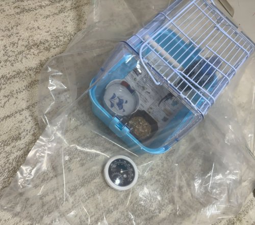 「セキセイインコの簡易酸素室について、 弱」の質問画像