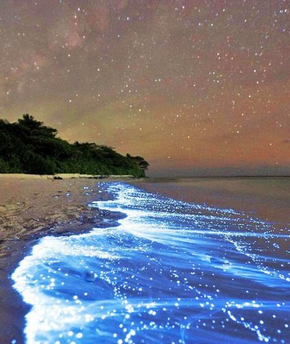 「もし 明日 地球が 終わるとしたら 最期」の回答画像16