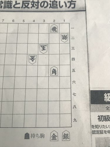「これ本当に5手詰めですか？ 解説してくだ」の質問画像
