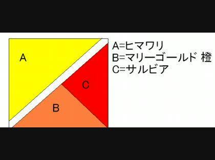 「名前を考えてください」の質問画像