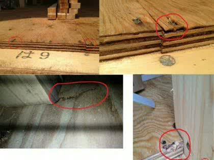 「建築中の構造用合板の削れ、剥がれなどにつ」の質問画像