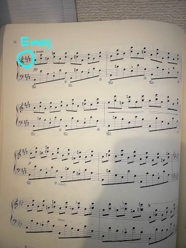 「ショパンのエチュードOp.10-10につ」の質問画像