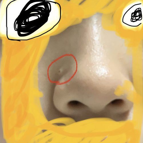 「この物体の正体が知りたいです、それと取り」の補足画像2