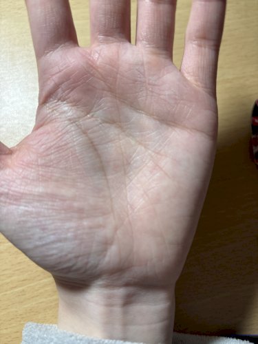 「手相に詳しい方教えてください！！ 覇王線」の質問画像