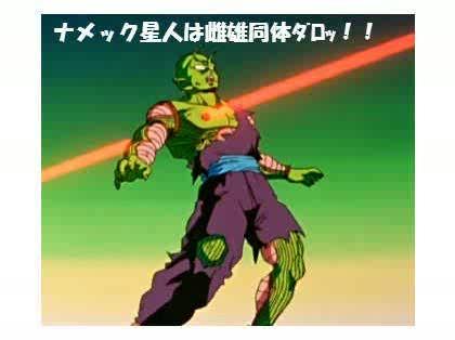 「誰か　ピッコロに突っ込んで下さい」の回答画像5