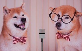 「☆今、気になっている芸人。 ☆今、注目し」の回答画像19