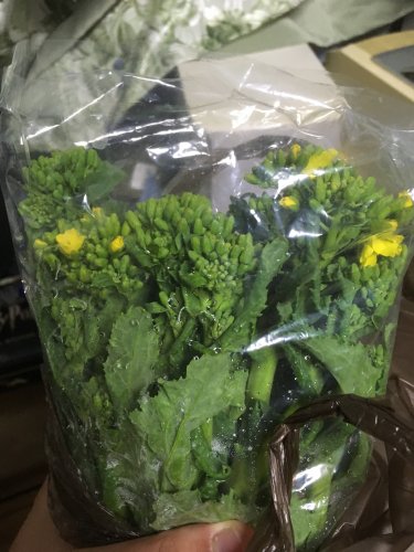 「この野菜？はなんというのですか？ またこ」の質問画像