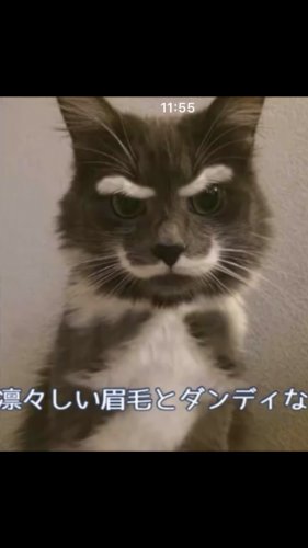 「楽しく言葉遊びしましょう なんちゃって川」の補足画像5
