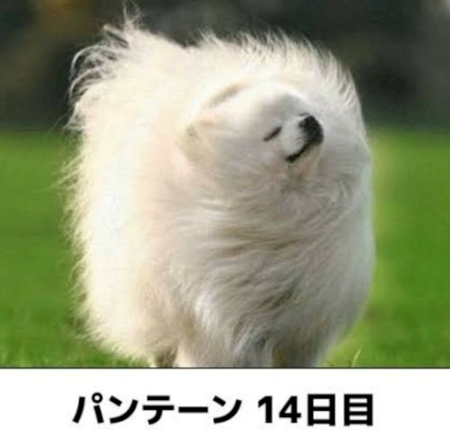 「【謎かけ】＆【雑談】しませんか？ ⭐雑談」の回答画像197
