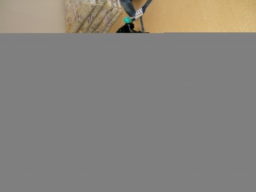 「写真」の質問画像