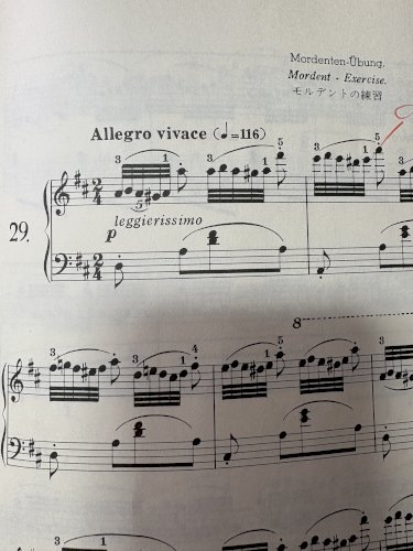 「チェルニー50番の29番ですが、モルデン」の質問画像