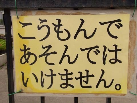 「彼がおしりに興味があるらしくて、したいと」の回答画像4