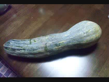 「このカボチャの正式名称を教えて下さい」の質問画像