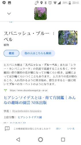 「花の名前を教えて下さい」の回答画像1
