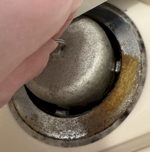 「画像は風呂場の排水口を撮影したものです。」の質問画像
