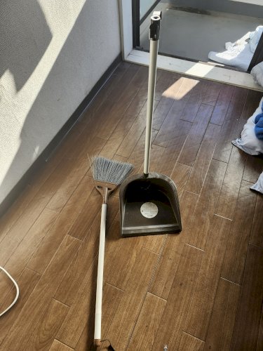 「この写真はDAISOで購入したものです。」の質問画像