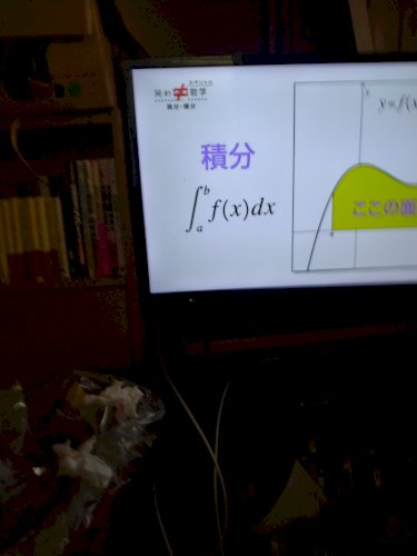 「テレビで、積分の番組がしてましたが、この」の質問画像