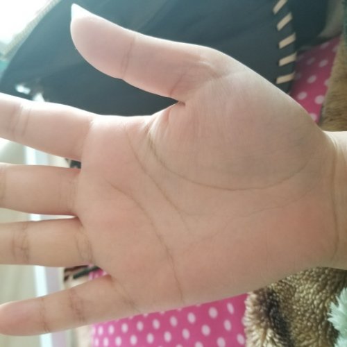 「手相で恋愛見てください！24才女です！」の質問画像