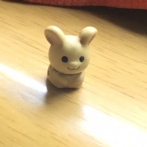 「この子名前なんて言うんですか？ハム太郎に」の質問画像
