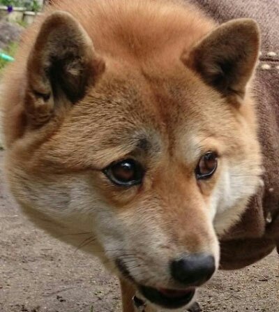 「皆さん、ゆったりと、いろんなお話しません」の回答画像743