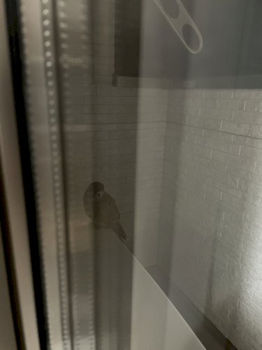 「昨晩、地震が熊本の方でもあったのですが、」の質問画像