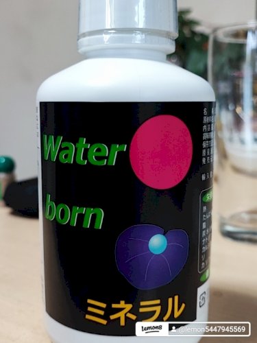 「健康目的の食事制限をしたら慢性的な便秘に」の回答画像6