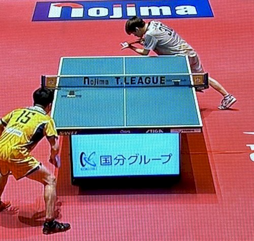 「卓球のTリーグの試合の台の上に、通常は無」の質問画像