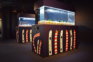 “ちんあなご”がニョキニョキ突き出る京都水族館のパフェがすごい!
