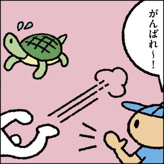 教えて！ しりもと博士：第177話「ウサギとカメ」