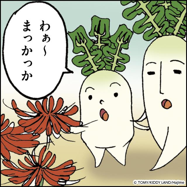 彼岸花 漫画 無料 彼岸花 漫画 無料