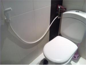 砂漠の地にウォッシュレット!? 驚き世界のトイレ事情~中東編~