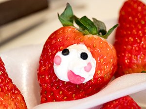 実際にデコいちに挑戦してみたが、うっかり上下逆に作ってしまった