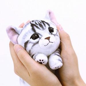 つぶらな瞳が可愛い!